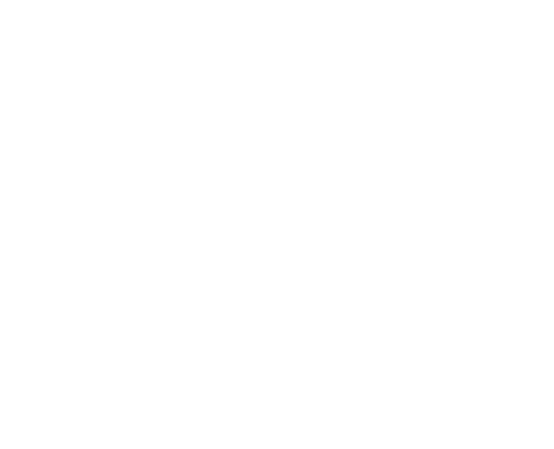 Reglas y Premios